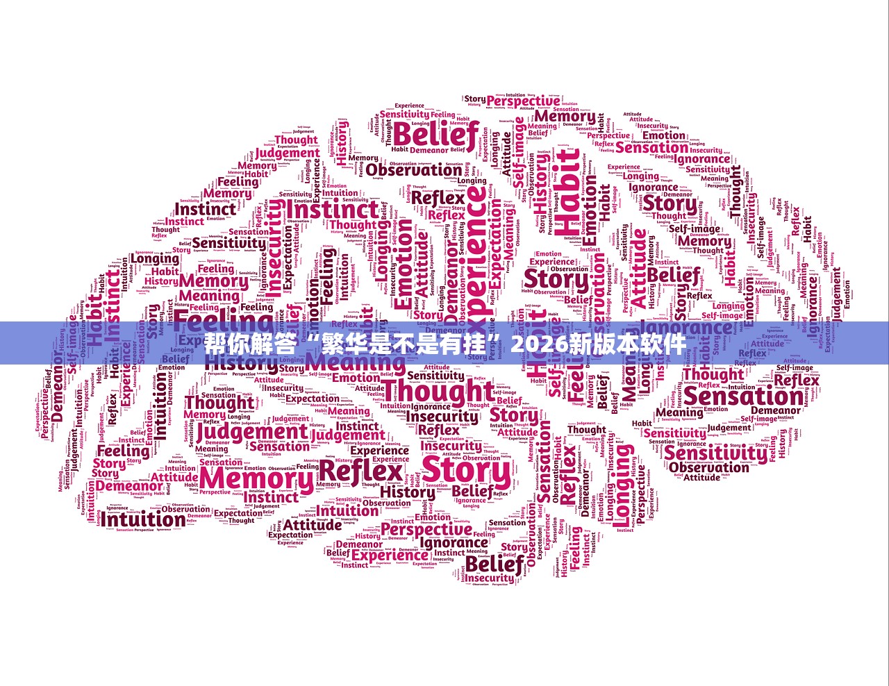 帮你解答“繁华是不是有挂”2026新版本软件