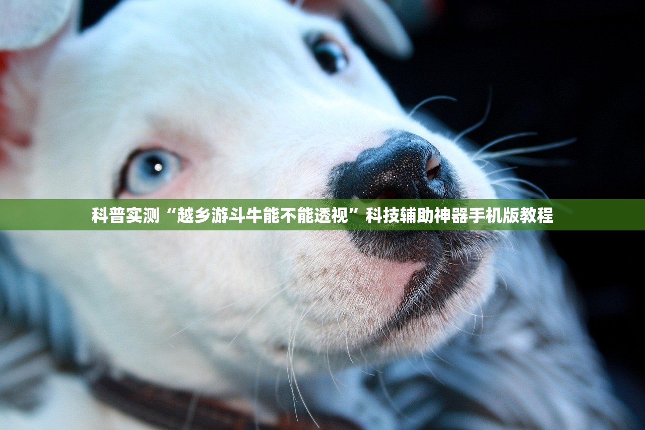 科普实测“越乡游斗牛能不能透视”科技辅助神器手机版教程