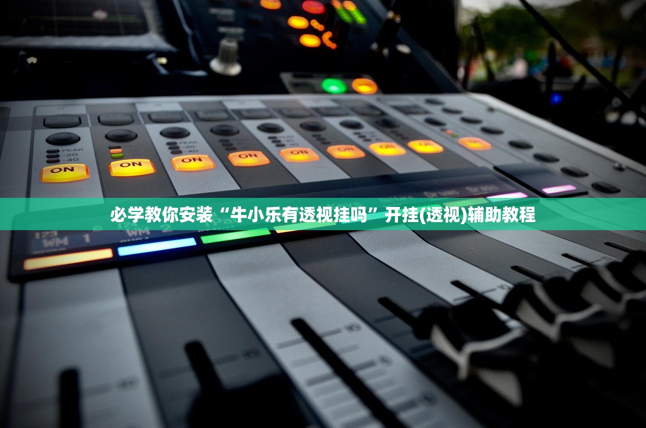 必学教你安装“牛小乐有透视挂吗”开挂(透视)辅助教程