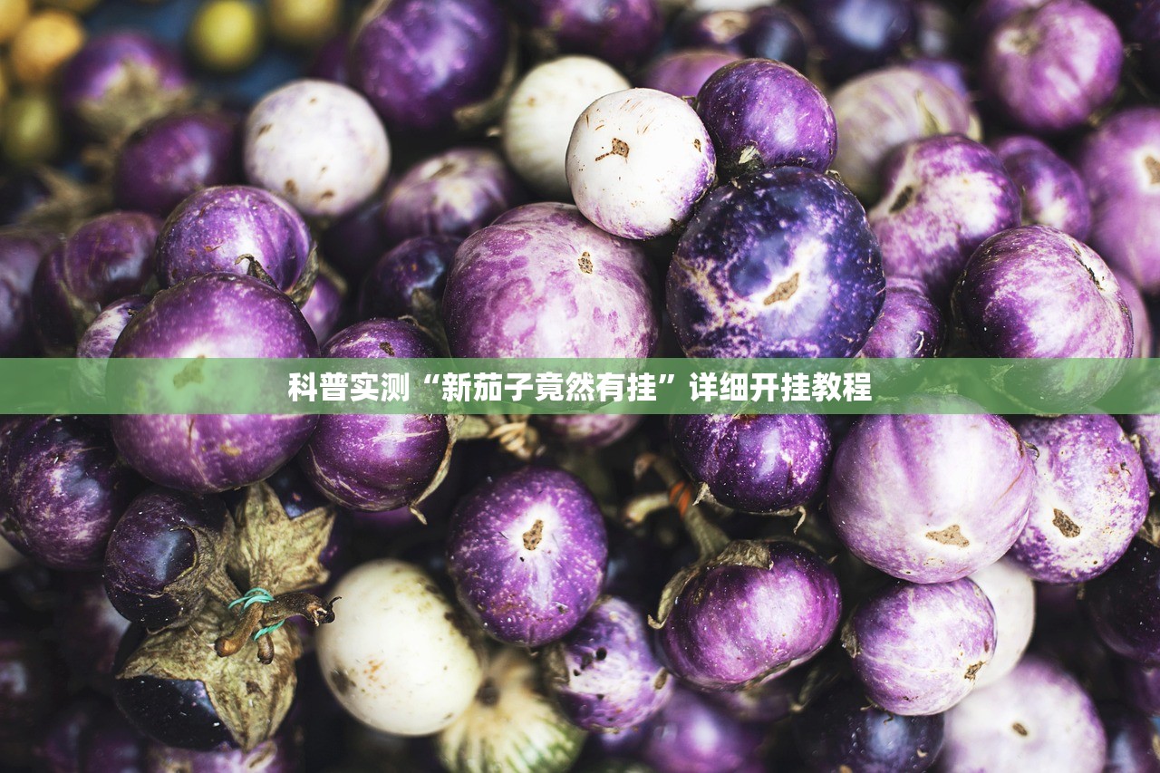 科普实测“新茄子竟然有挂”详细开挂教程