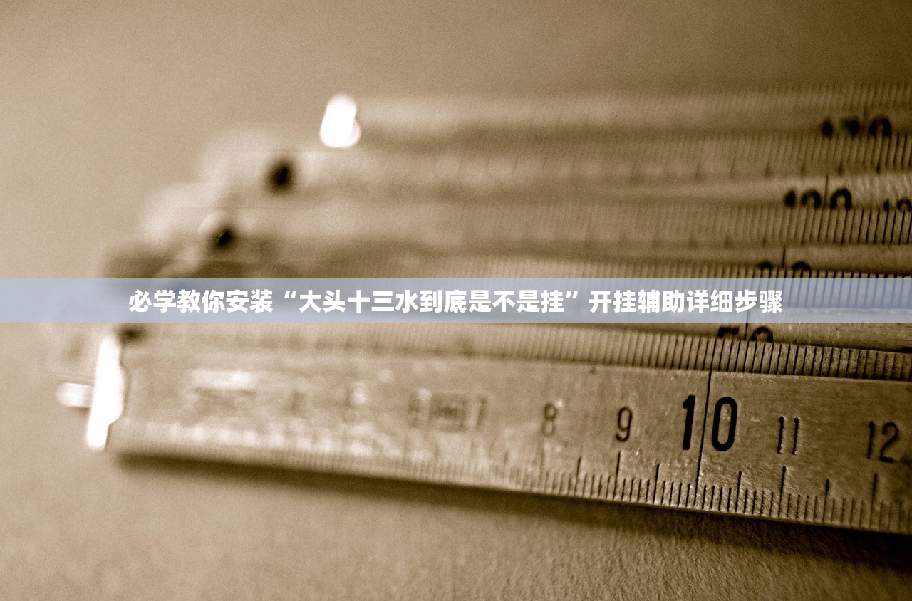 必学教你安装“大头十三水到底是不是挂”开挂辅助详细步骤