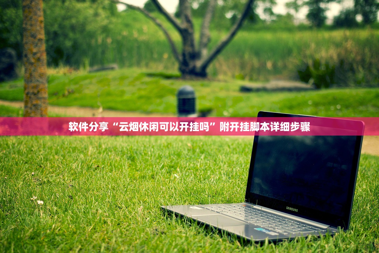 软件分享“云烟休闲可以开挂吗”附开挂脚本详细步骤