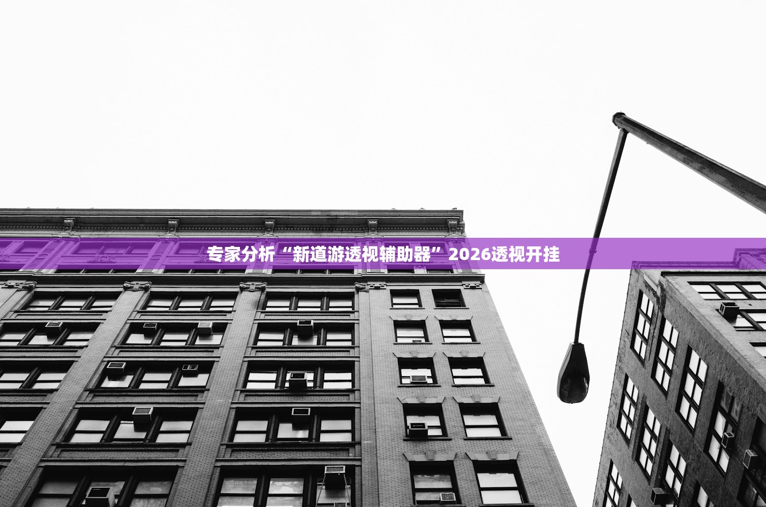 专家分析“新道游透视辅助器”2026透视开挂