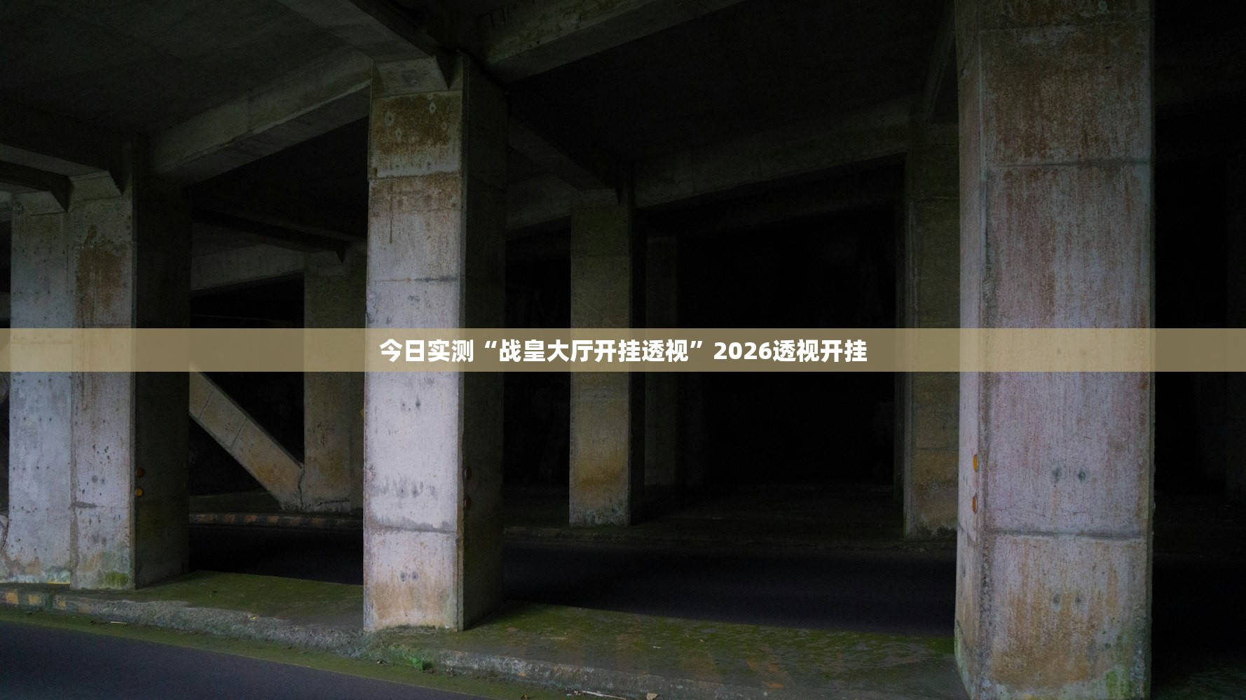 今日实测“战皇大厅开挂透视”2026透视开挂