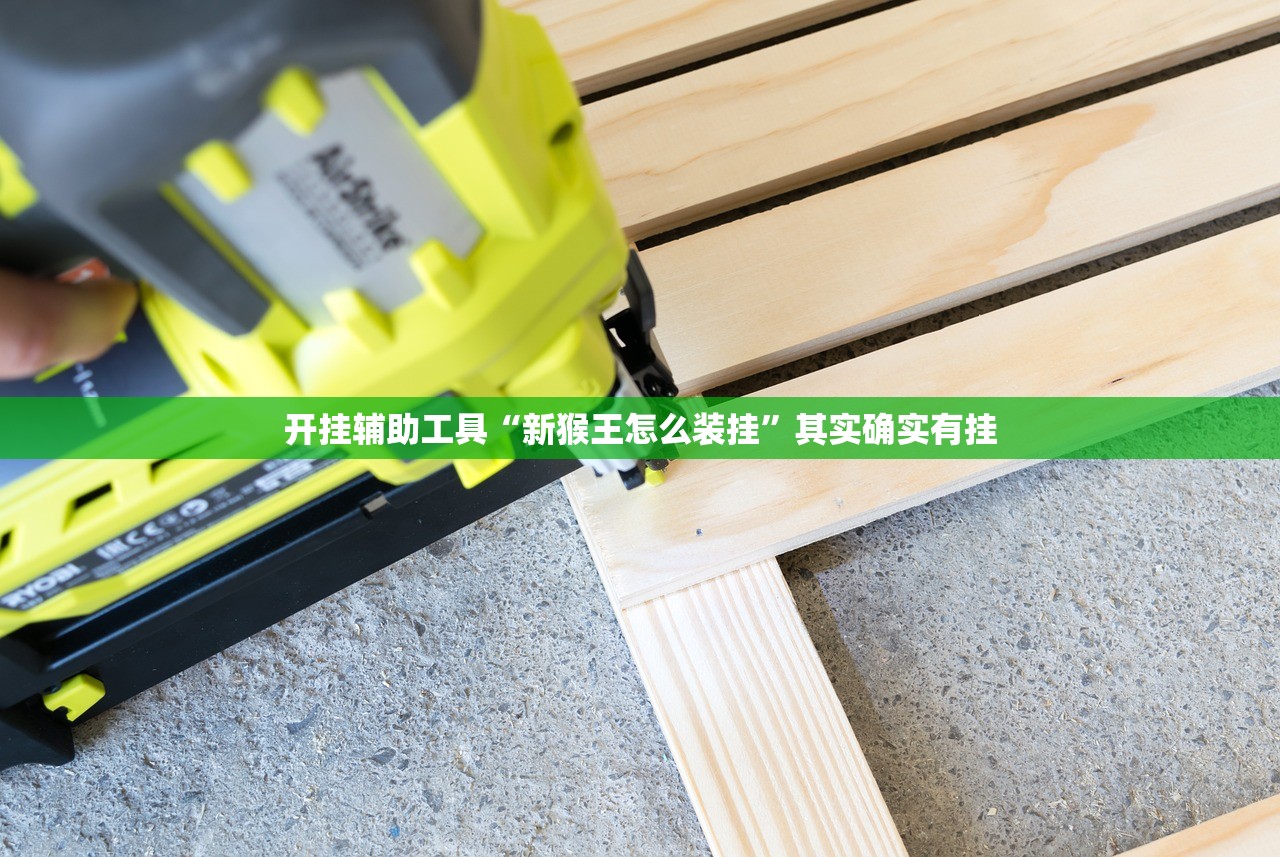 开挂辅助工具“新猴王怎么装挂”其实确实有挂