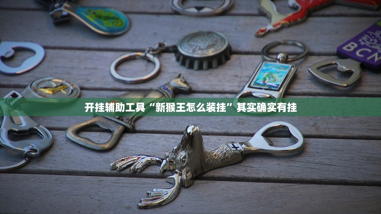 开挂辅助工具“新猴王怎么装挂”其实确实有挂