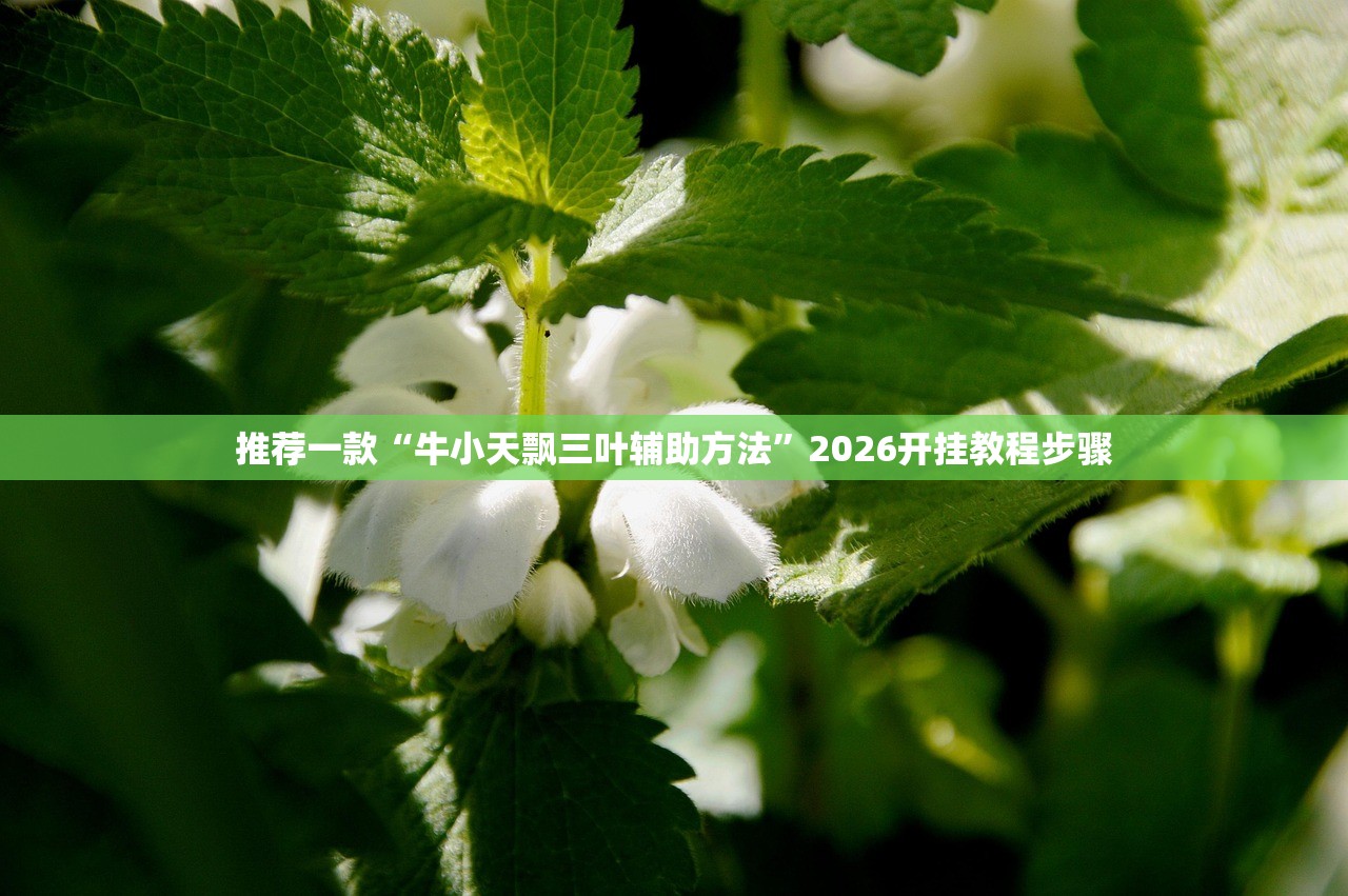 推荐一款“牛小天飘三叶辅助方法”2026开挂教程步骤