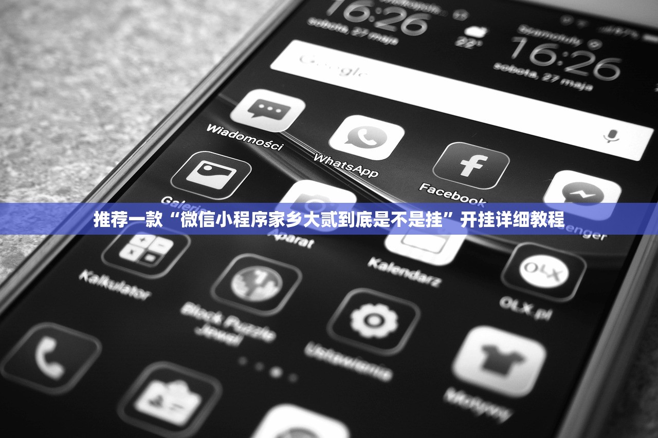 推荐一款“微信小程序家乡大贰到底是不是挂”开挂详细教程