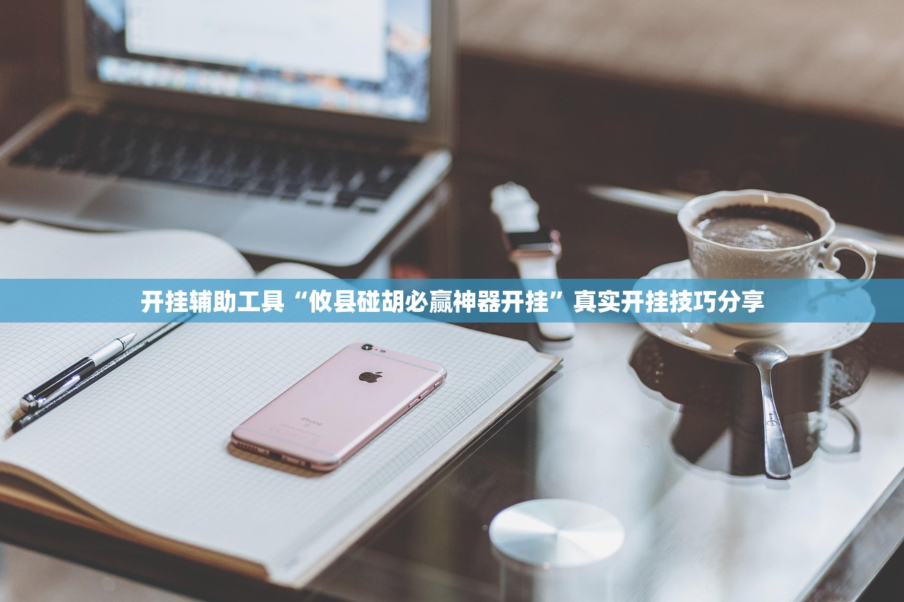 开挂辅助工具“攸县碰胡必赢神器开挂”真实开挂技巧分享