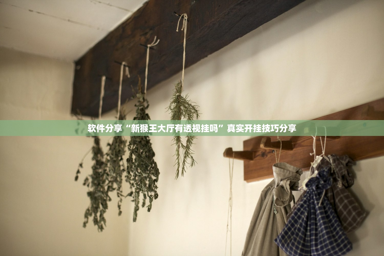 软件分享“新猴王大厅有透视挂吗”真实开挂技巧分享