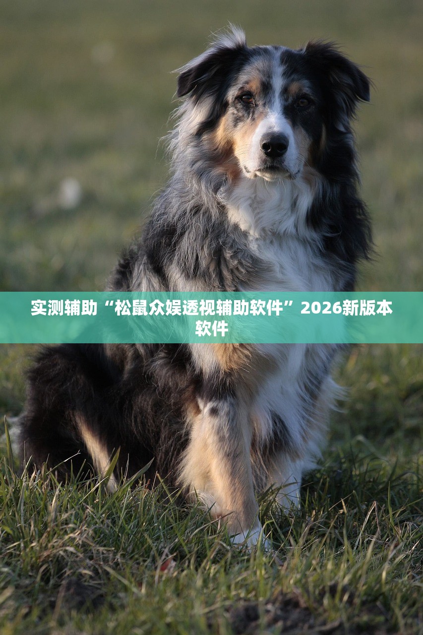 实测辅助“松鼠众娱透视辅助软件”2026新版本软件