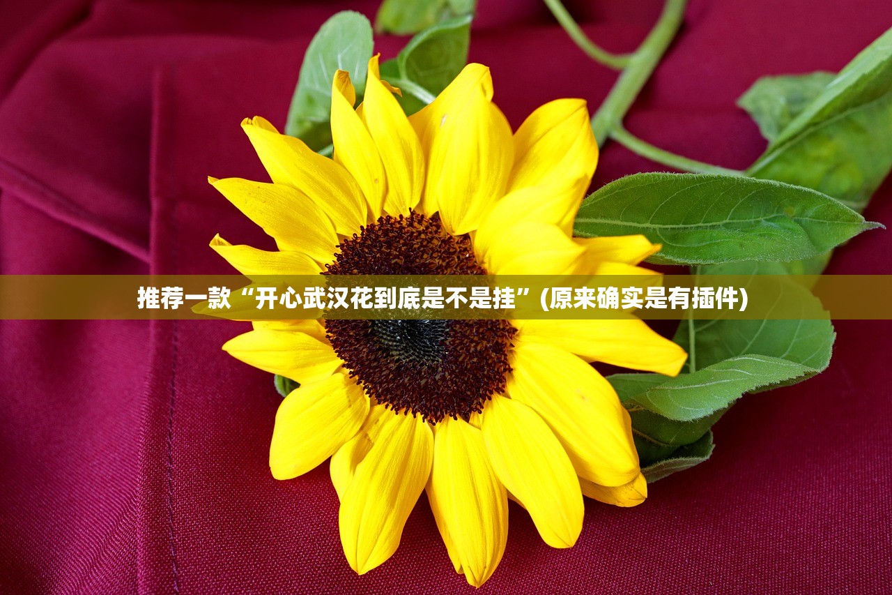 推荐一款“开心武汉花到底是不是挂”(原来确实是有插件) 