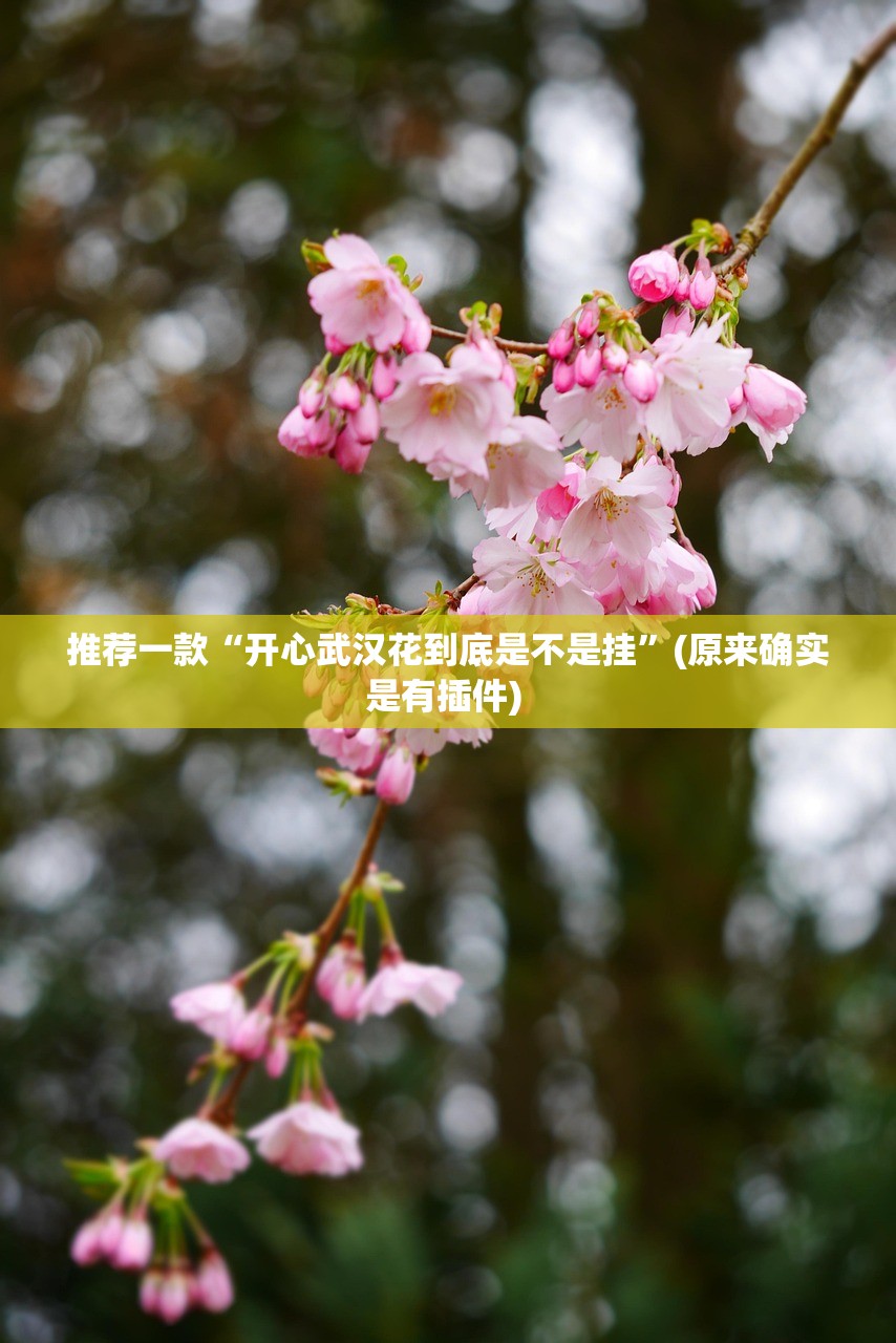 推荐一款“开心武汉花到底是不是挂”(原来确实是有插件) 