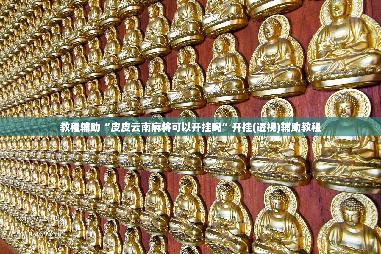 教程辅助“皮皮云南麻将可以开挂吗”开挂(透视)辅助教程