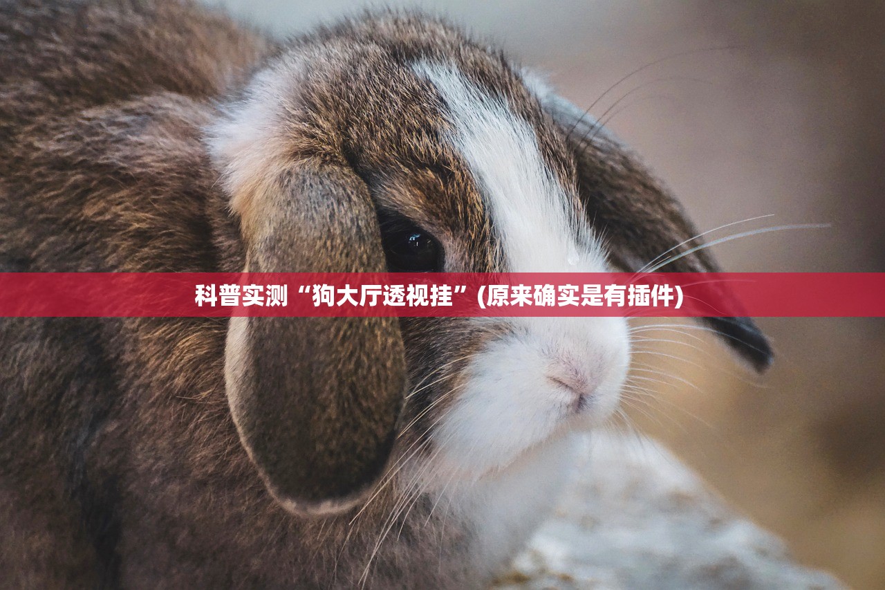 科普实测“狗大厅透视挂”(原来确实是有插件) 