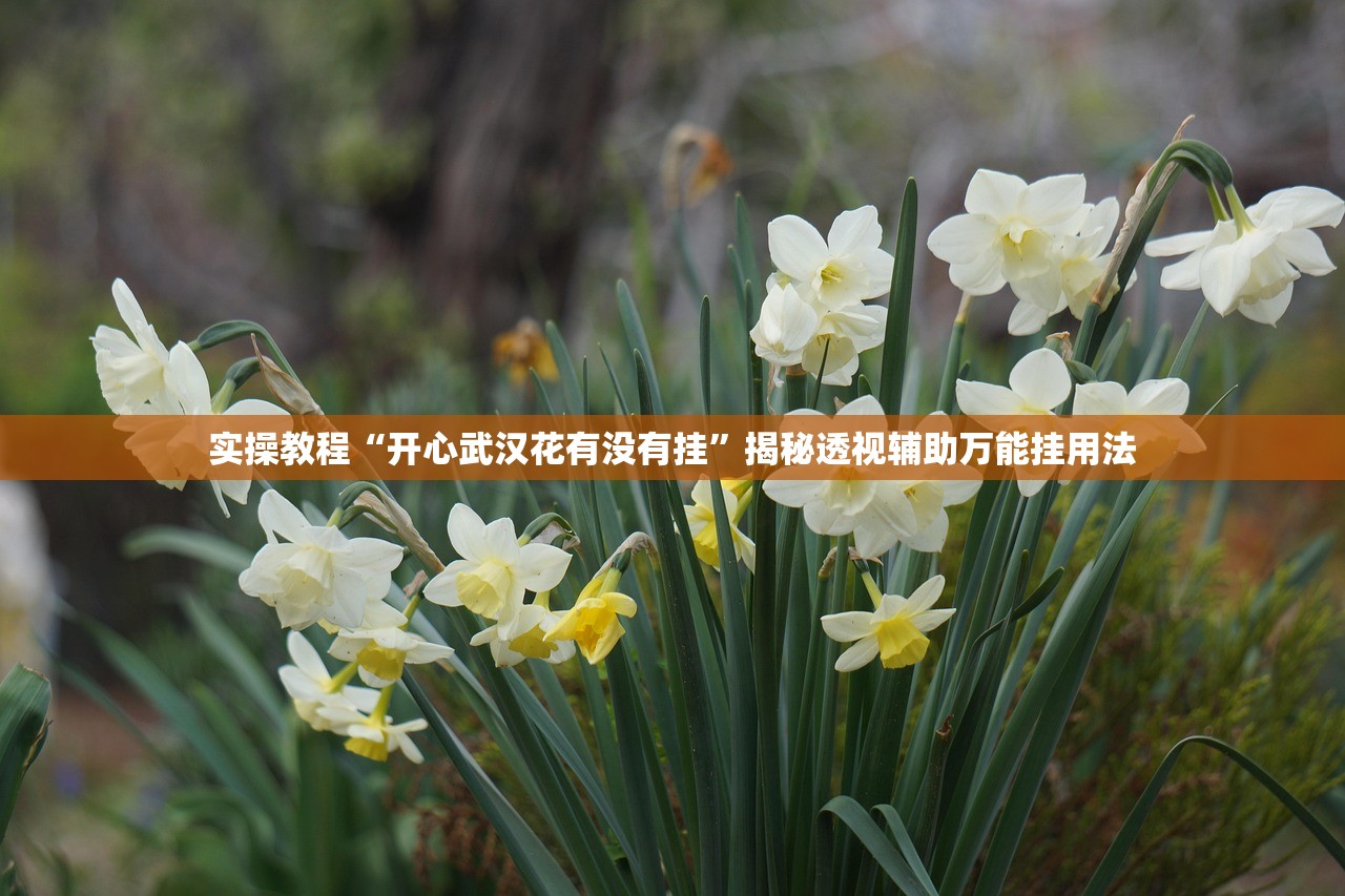实操教程“开心武汉花有没有挂”揭秘透视辅助万能挂用法
