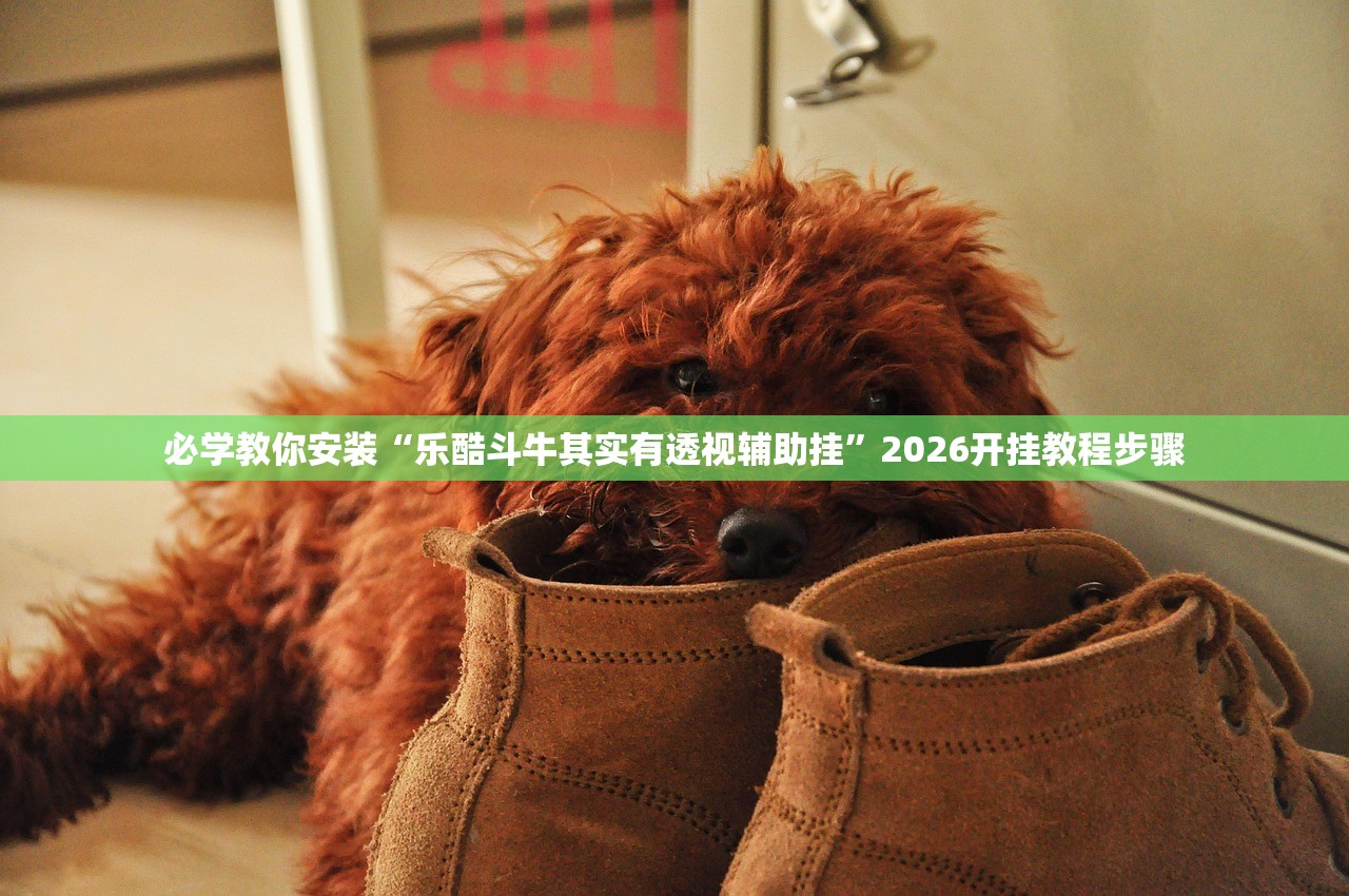 必学教你安装“乐酷斗牛其实有透视辅助挂”2026开挂教程步骤