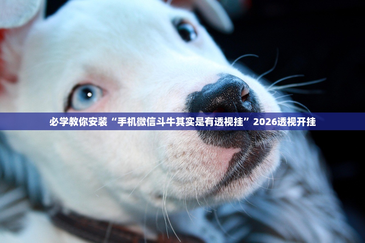 必学教你安装“手机微信斗牛其实是有透视挂”2026透视开挂