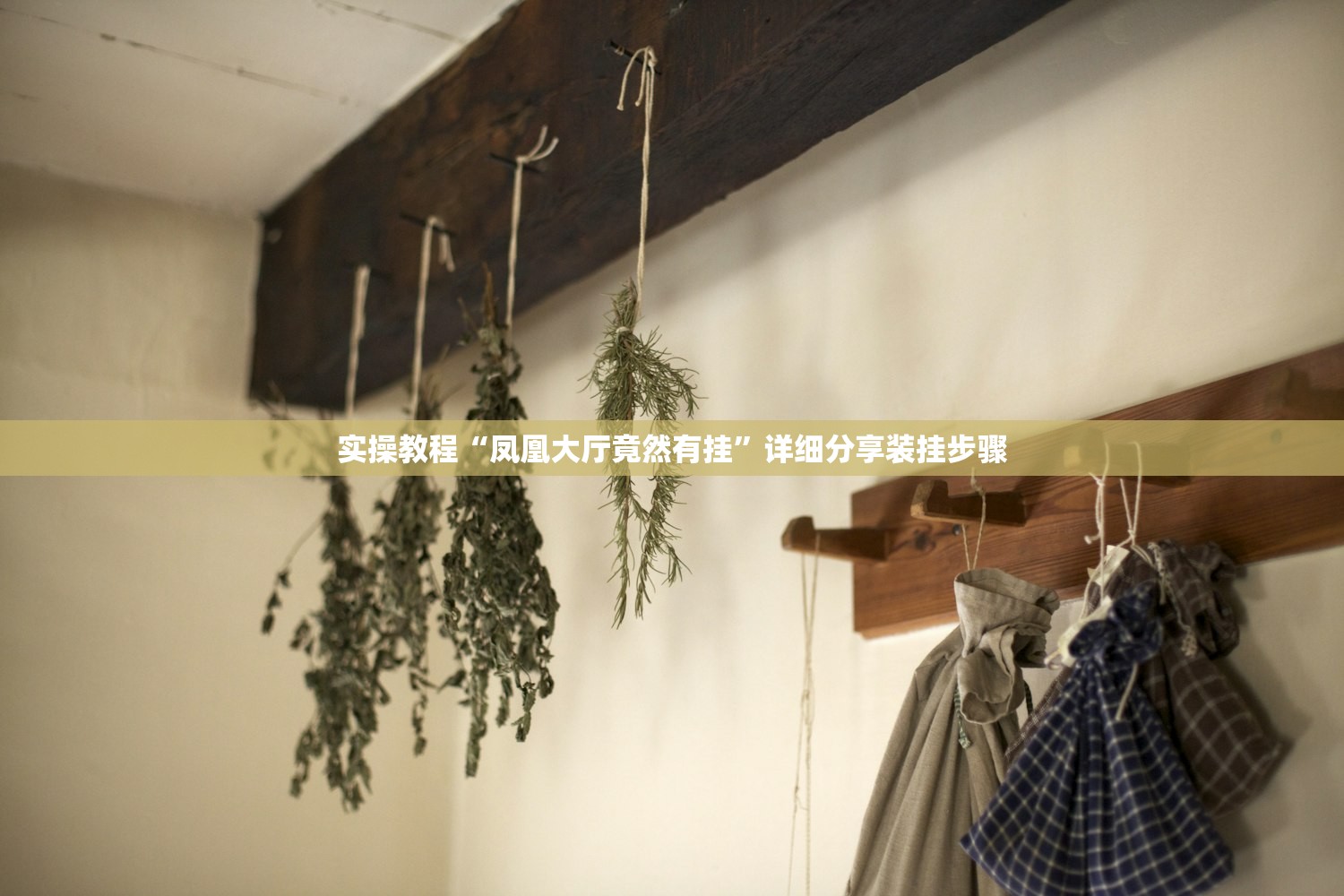实操教程“凤凰大厅竟然有挂”详细分享装挂步骤