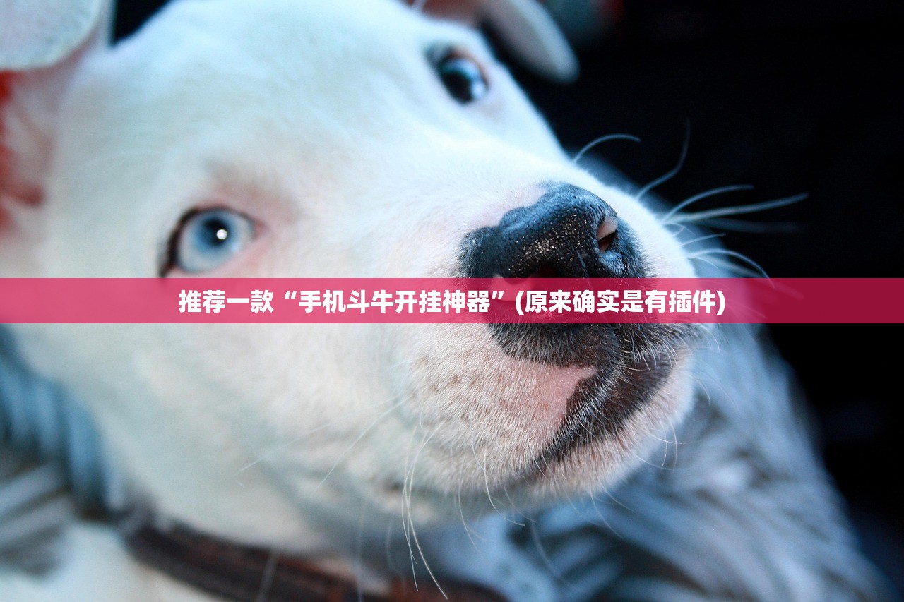 推荐一款“手机斗牛开挂神器”(原来确实是有插件)