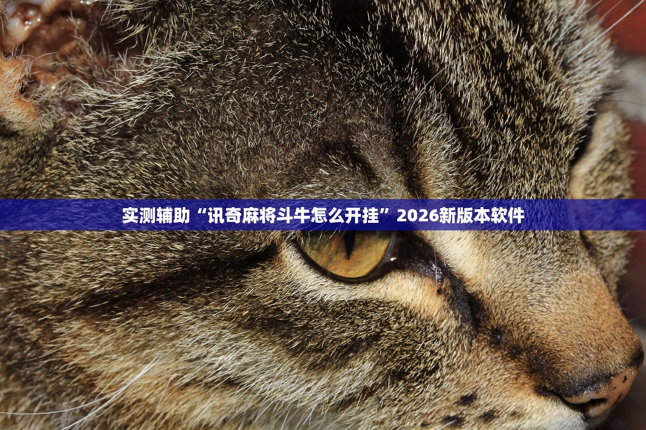 实测辅助“讯奇麻将斗牛怎么开挂”2026新版本软件