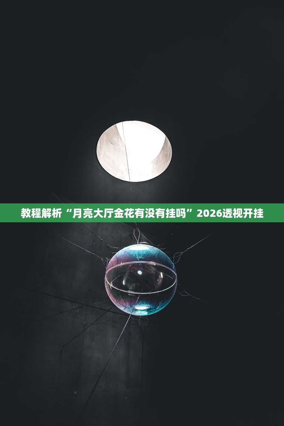 教程解析“月亮大厅金花有没有挂吗”2026透视开挂