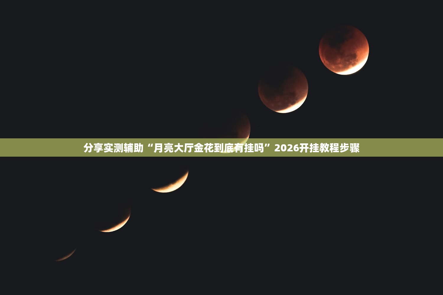 分享实测辅助“月亮大厅金花到底有挂吗”2026开挂教程步骤