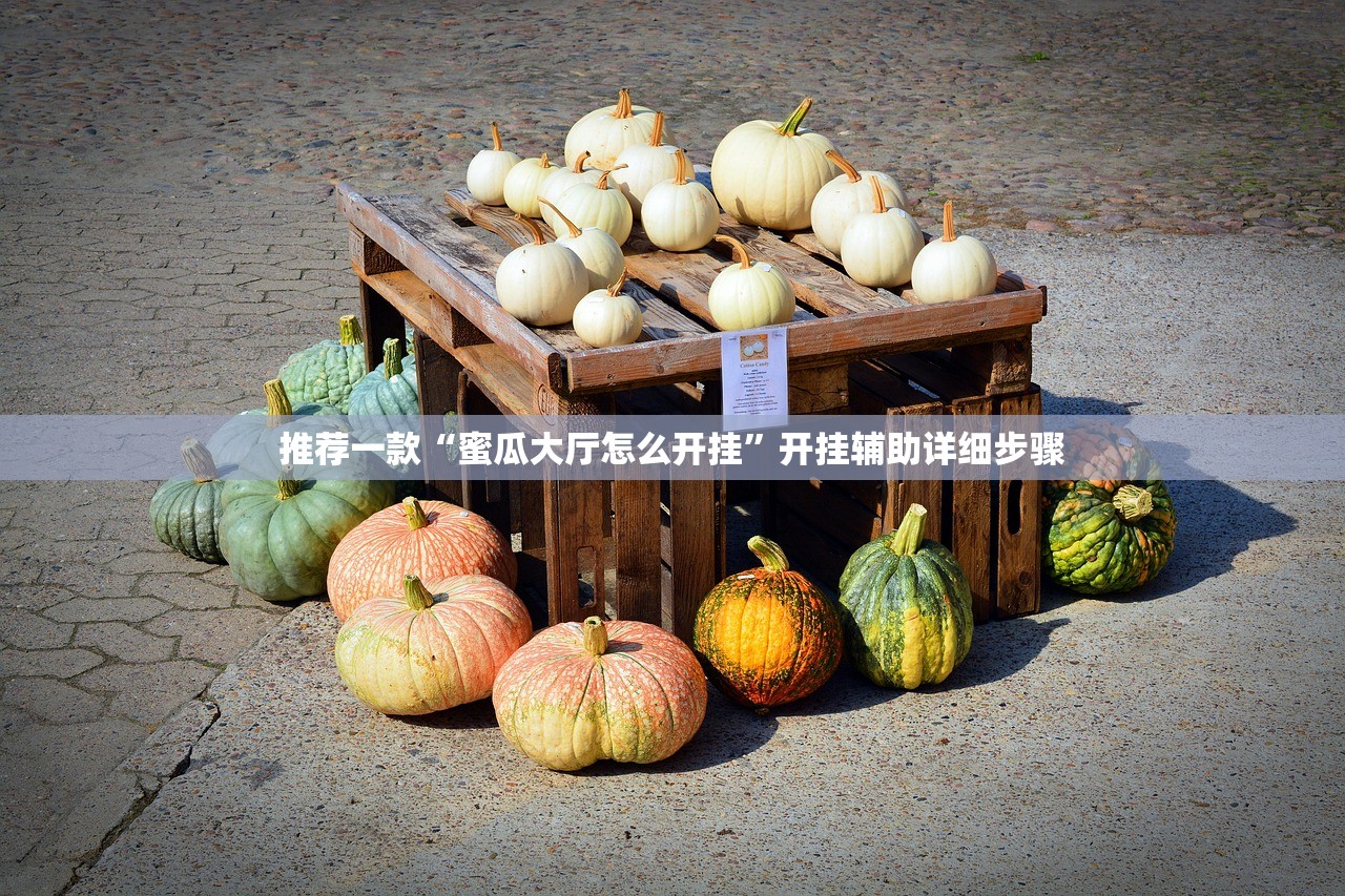 推荐一款“蜜瓜大厅怎么开挂”开挂辅助详细步骤