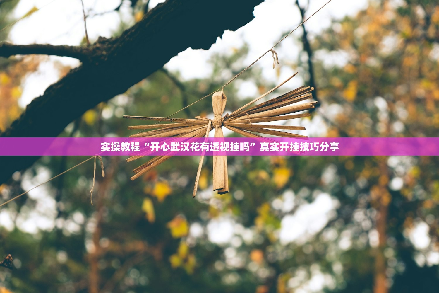 实操教程“开心武汉花有透视挂吗”真实开挂技巧分享