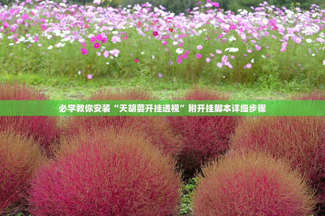 必学教你安装“天胡荽开挂透视”附开挂脚本详细步骤