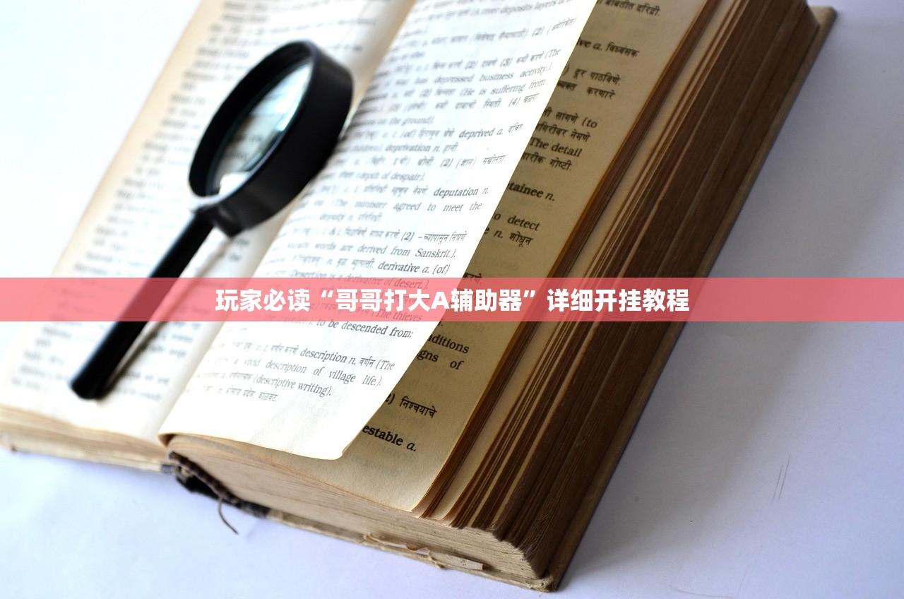 玩家必读“哥哥打大A辅助器”详细开挂教程
