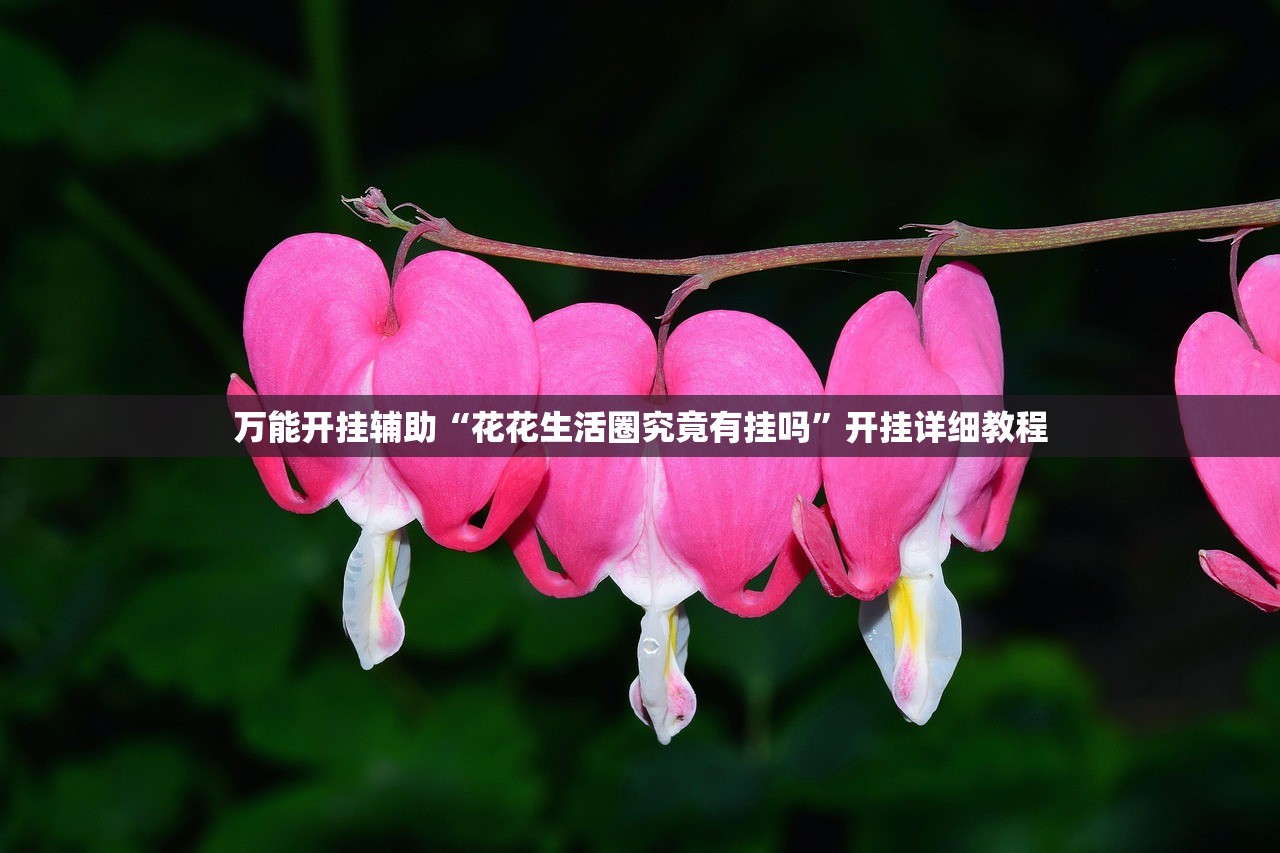 万能开挂辅助“花花生活圈究竟有挂吗”开挂详细教程