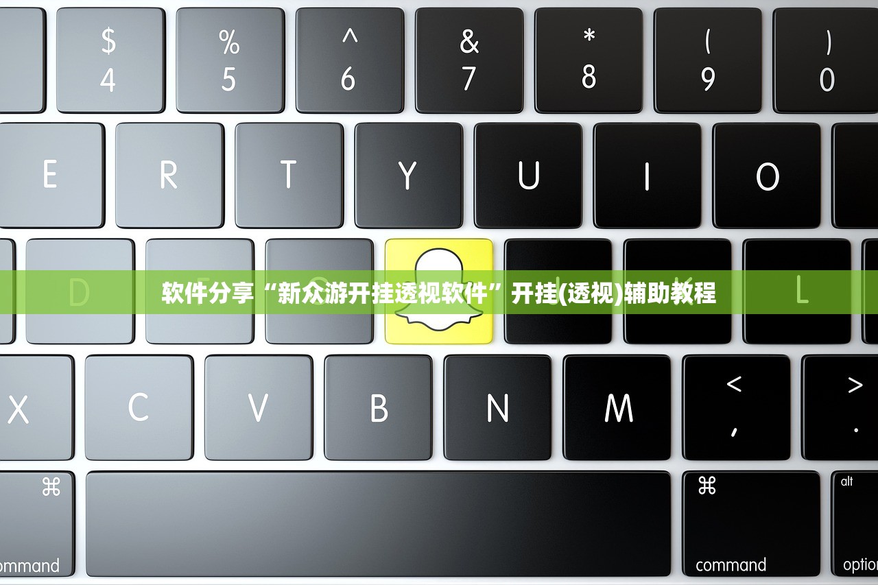 软件分享“新众游开挂透视软件”开挂(透视)辅助教程