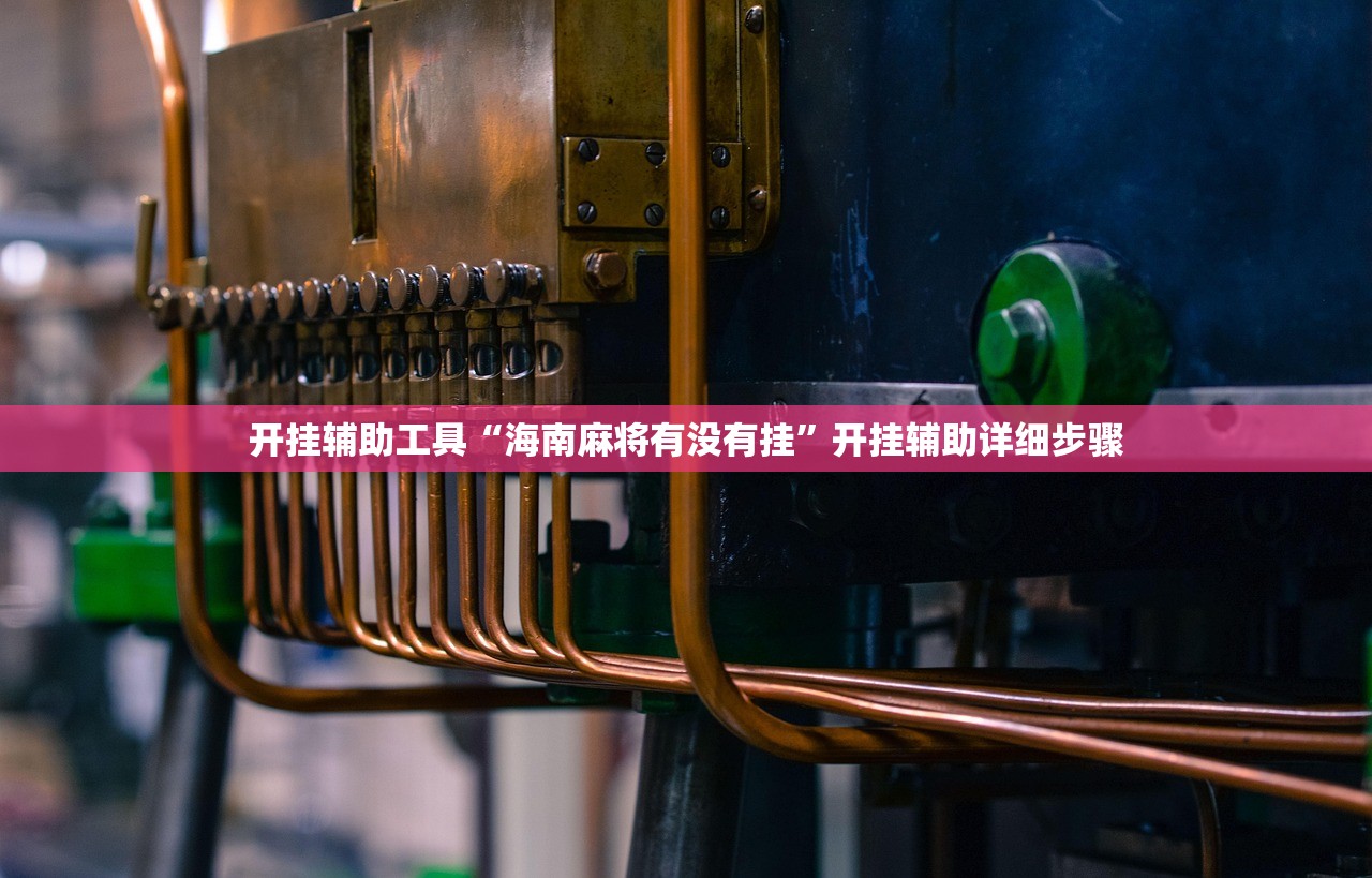 开挂辅助工具“海南麻将有没有挂”开挂辅助详细步骤