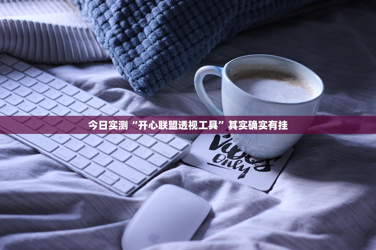 今日实测“开心联盟透视工具”其实确实有挂
