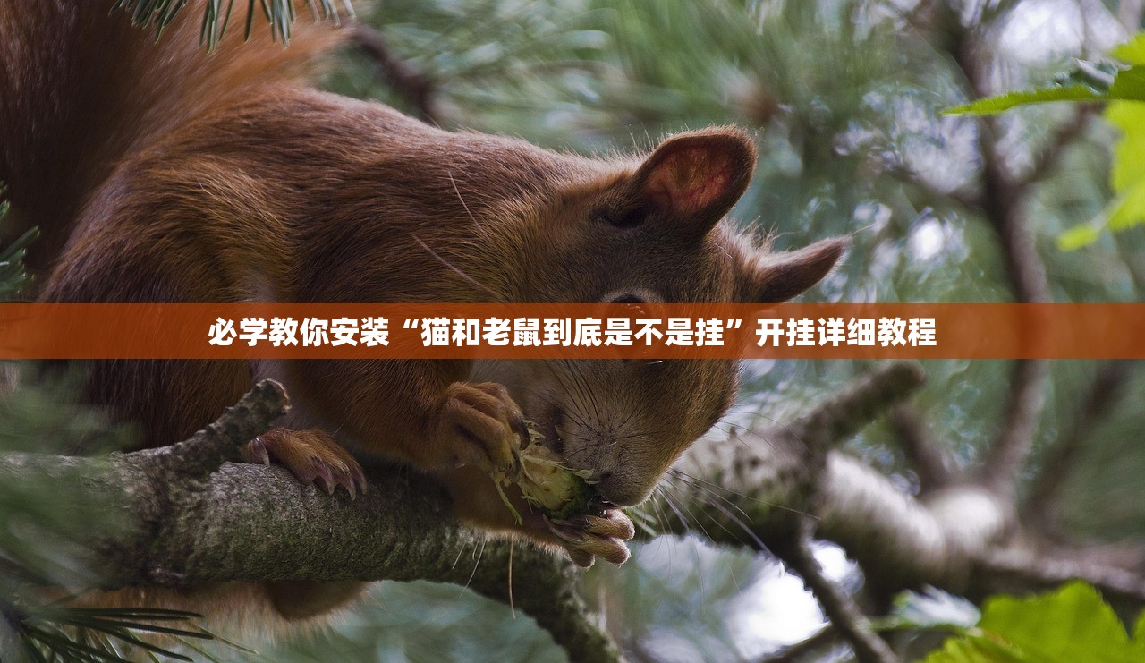 必学教你安装“微信小程序牵手跑胡子作弊教程”(原来确实是有插件)