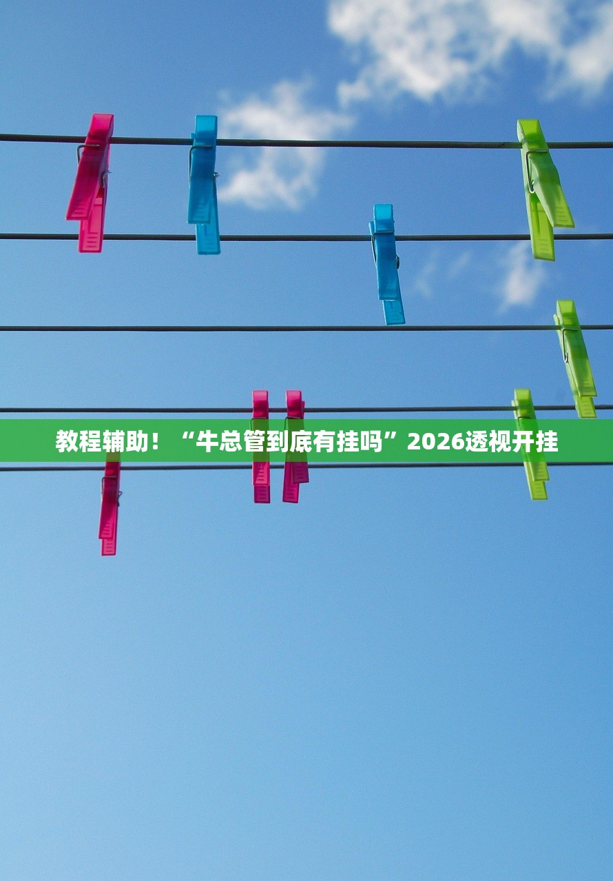 教程辅助！“牛总管到底有挂吗	”2026透视开挂