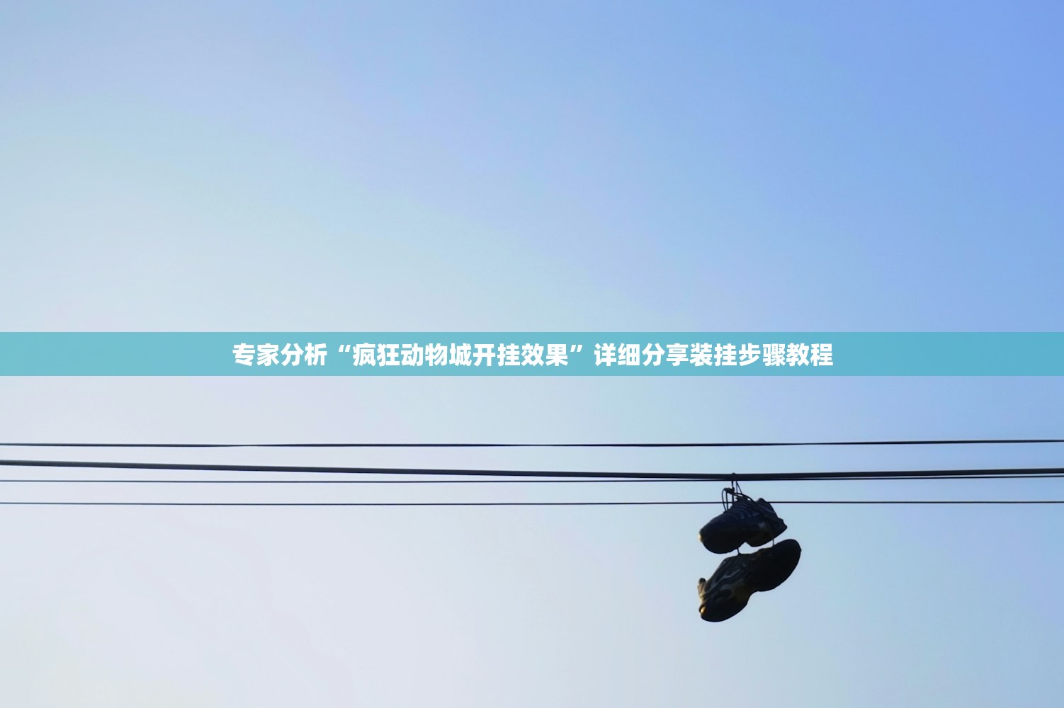 专家分析“疯狂动物城开挂效果”详细分享装挂步骤教程