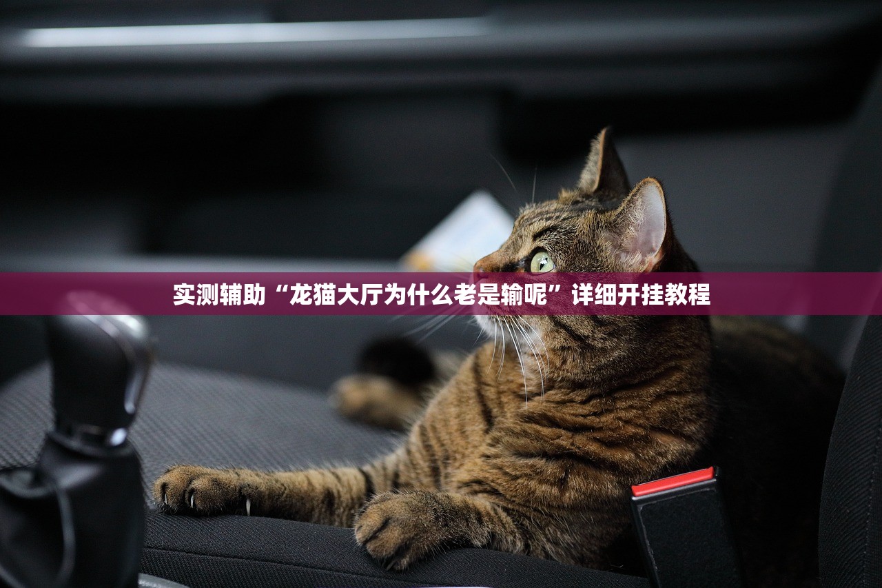 实测辅助“龙猫大厅为什么老是输呢”详细开挂教程