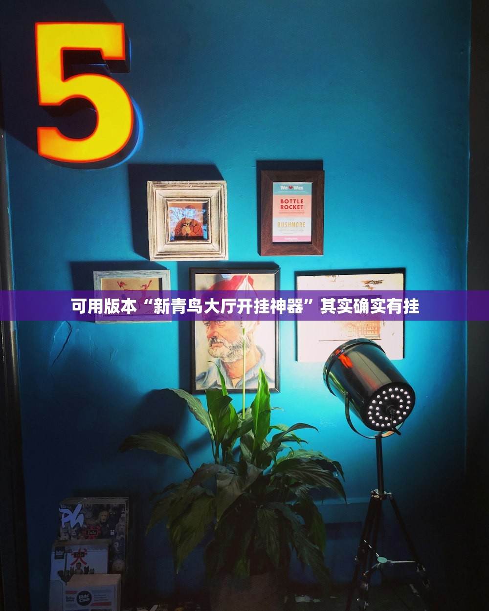可用版本“新青鸟大厅开挂神器”其实确实有挂