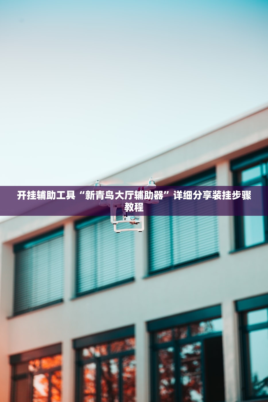 开挂辅助工具“新青鸟大厅辅助器”详细分享装挂步骤教程