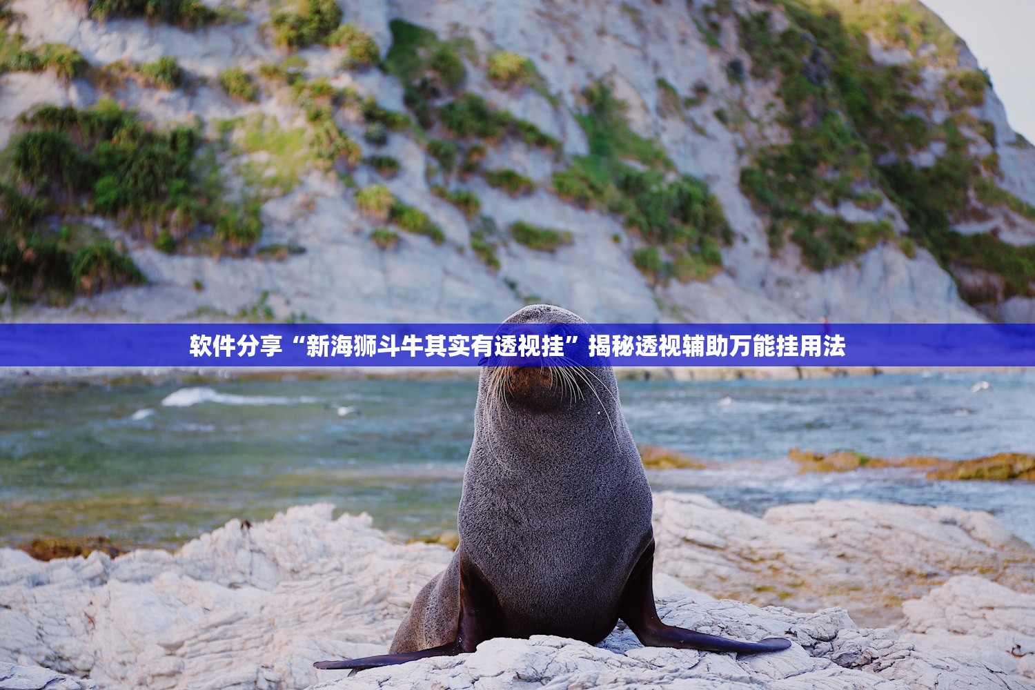软件分享“新海狮斗牛其实有透视挂”揭秘透视辅助万能挂用法