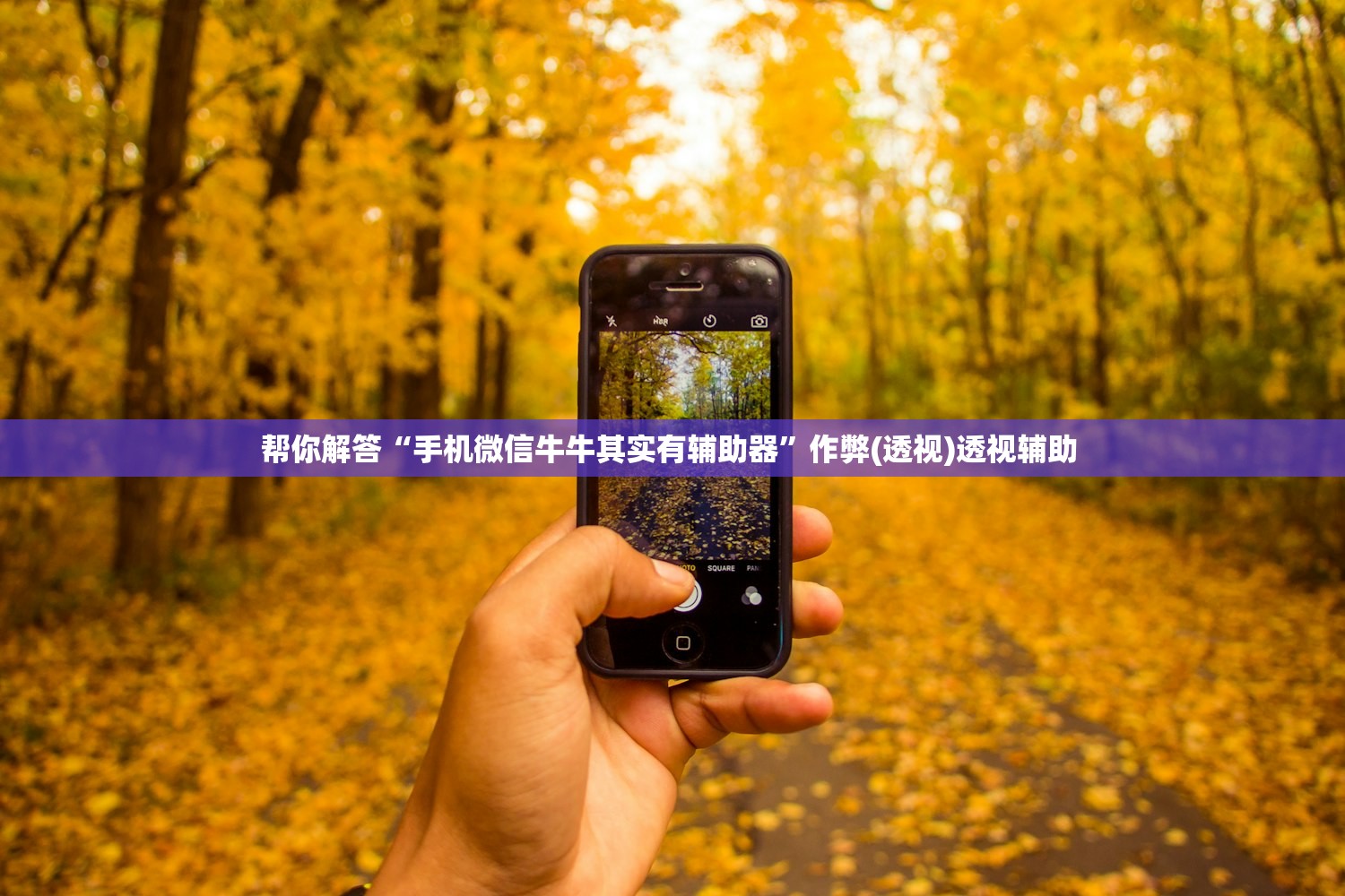 帮你解答“手机微信牛牛其实有辅助器”作弊(透视)透视辅助 