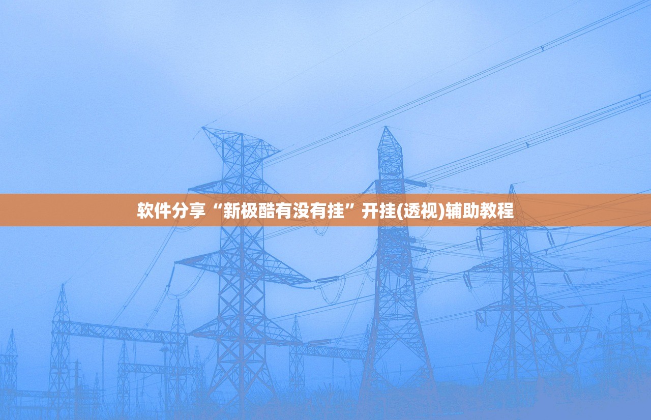 软件分享“新极酷有没有挂”开挂(透视)辅助教程