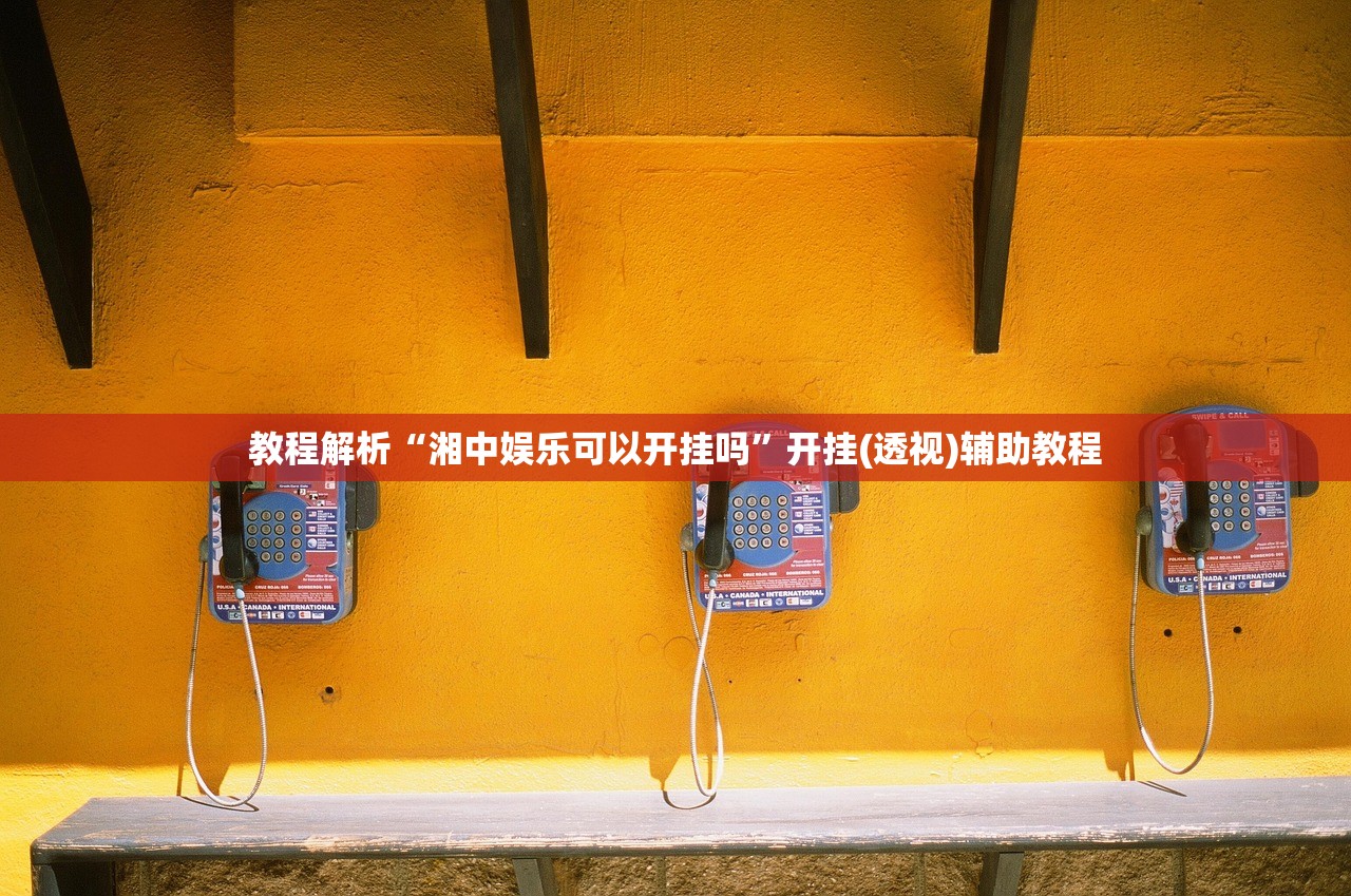 教程解析“湘中娱乐可以开挂吗”开挂(透视)辅助教程