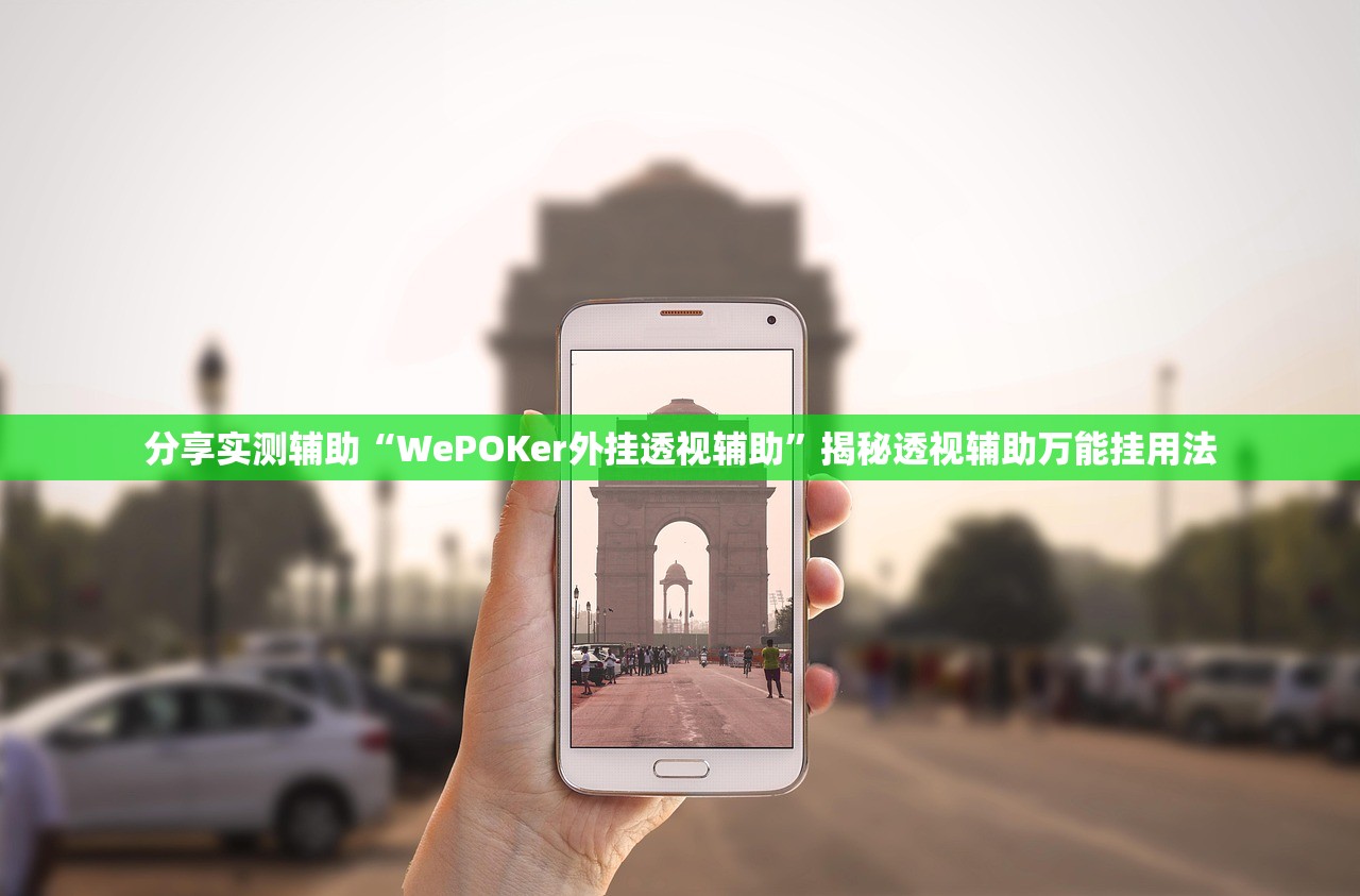分享实测辅助“WePOKer外挂透视辅助”揭秘透视辅助万能挂用法