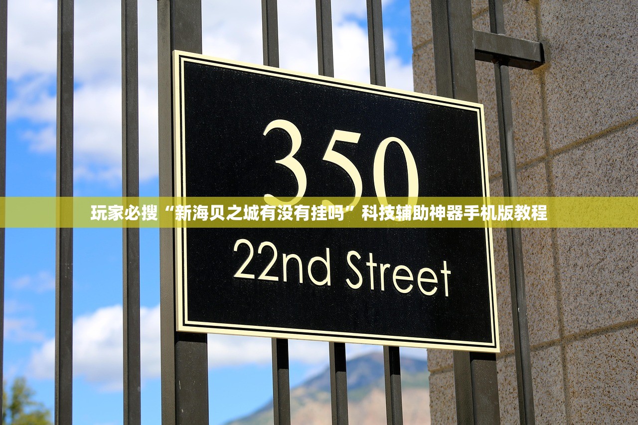 玩家必搜“新海贝之城有没有挂吗”科技辅助神器手机版教程