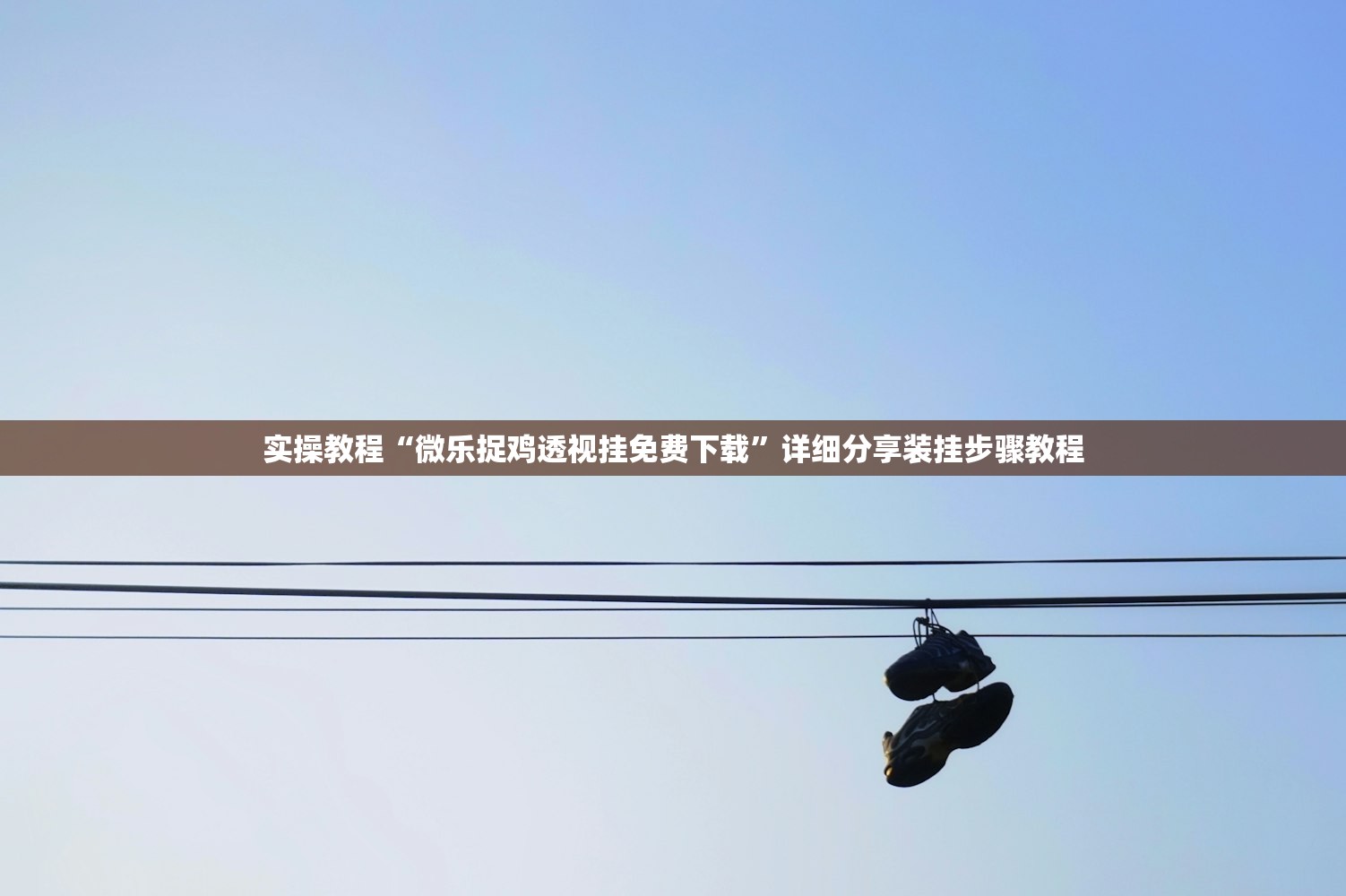 实操教程“微乐捉鸡透视挂免费下载”详细分享装挂步骤教程
