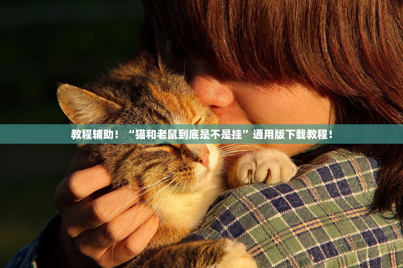 教程辅助！“猫和老鼠到底是不是挂”通用版下载教程！