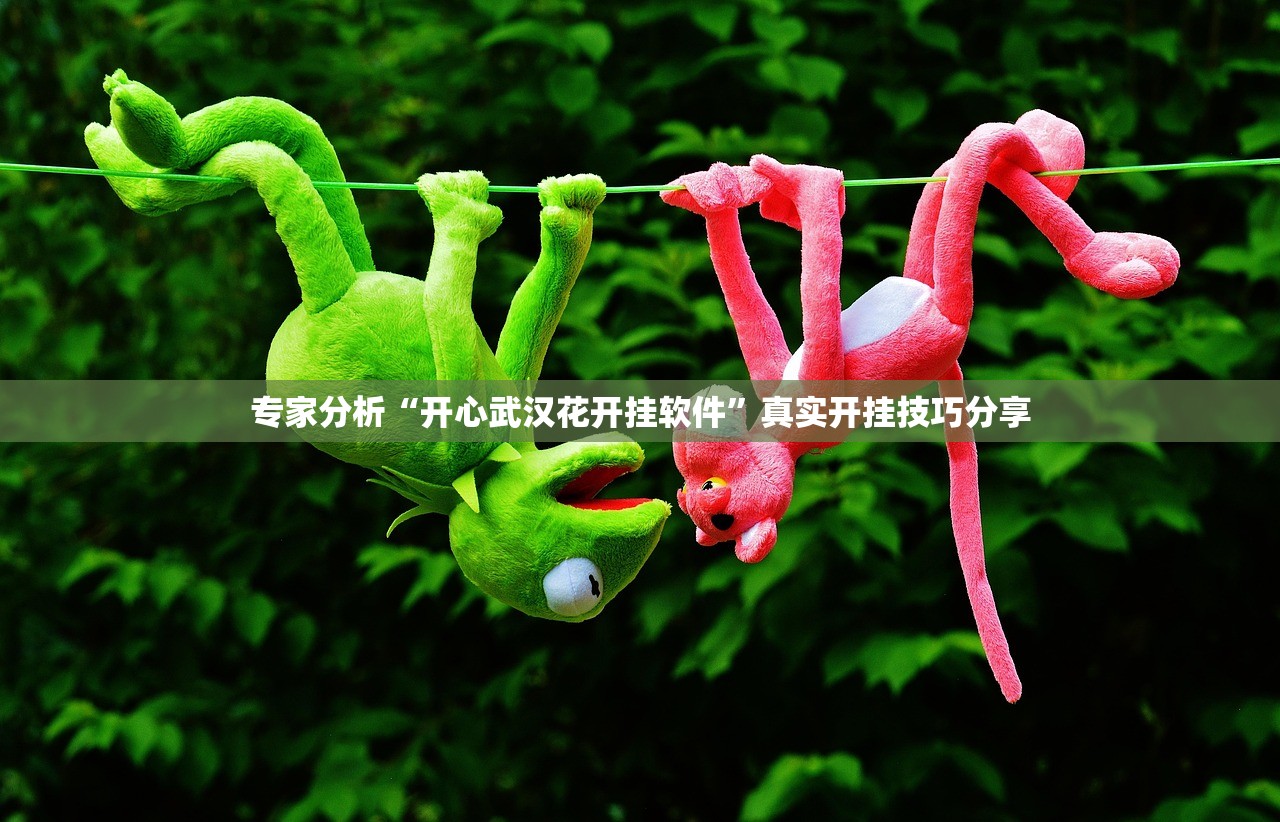 专家分析“开心武汉花开挂软件”真实开挂技巧分享